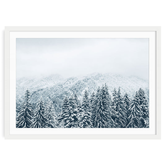 Snow covered evergreen forest wall art print in white frame with mat