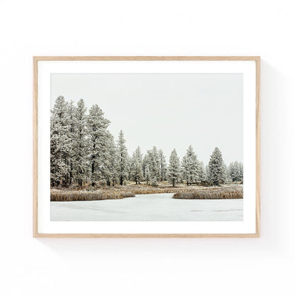 Winter forest wall art featuring snow-covered pine trees surrounding a calm meadow pond with soft neutral tones and a peaceful mountain atmosphere.