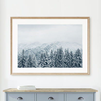 Framed evergreen forest wall art print featuring snowy winter trees