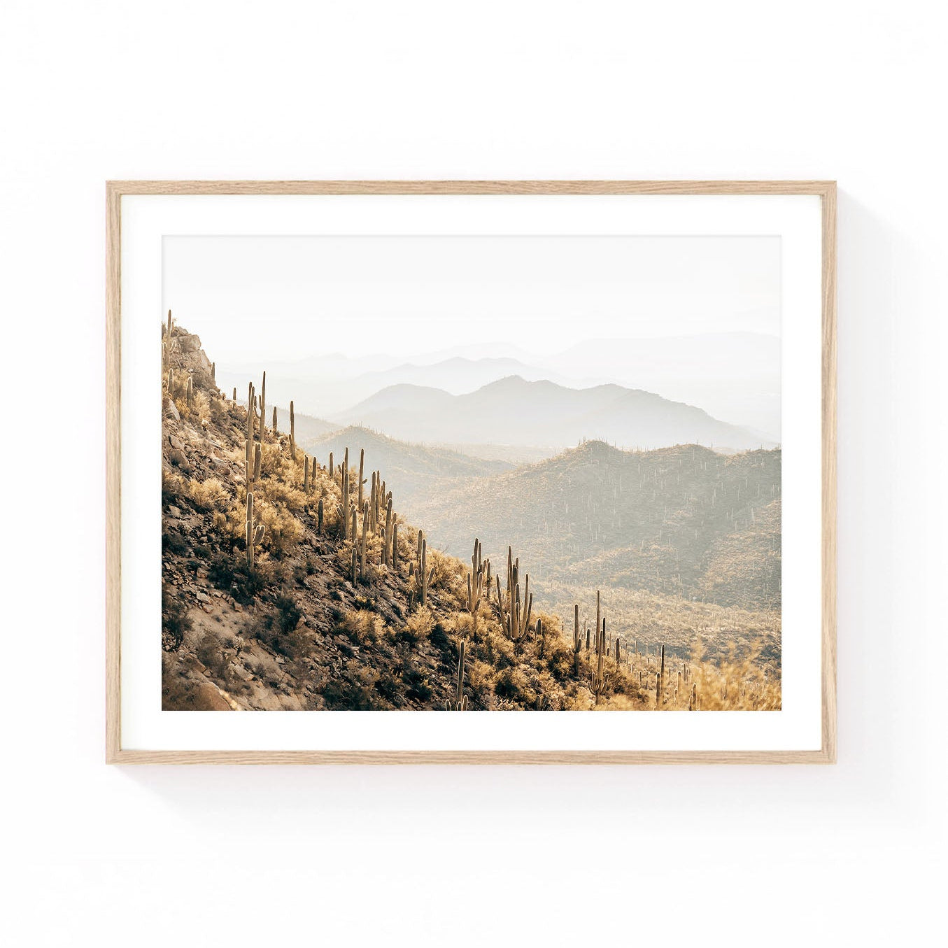 Arizona desert wall art featuring sunlit saguaro cacti covering rolling mountain hills in the Sonoran Desert, captured in soft golden neutral tones.