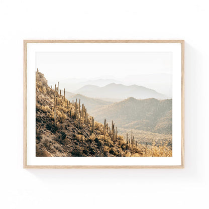 Arizona desert wall art featuring sunlit saguaro cacti covering rolling mountain hills in the Sonoran Desert, captured in soft golden neutral tones.