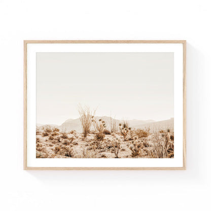 Desert landscape wall art featuring ocotillo, Joshua trees, native desert plants, and distant mountains in soft neutral tones and warm desert light.