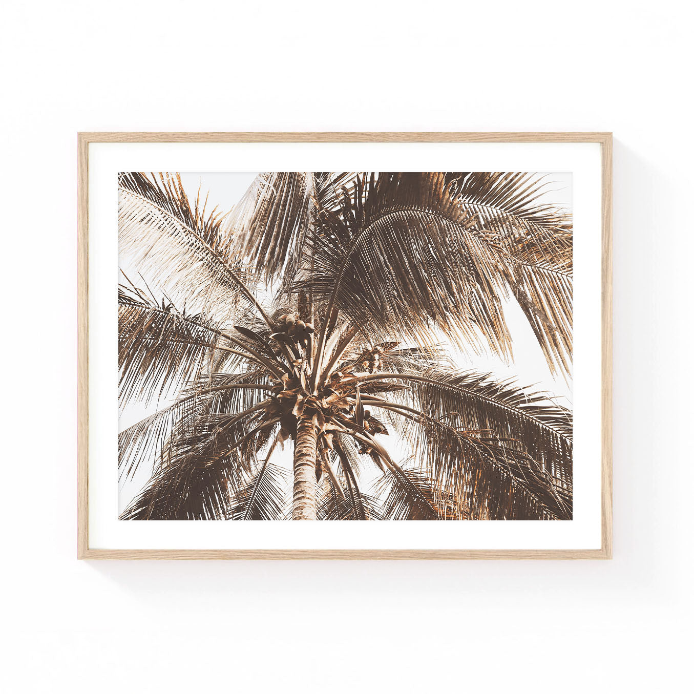 Tropical palm tree wall art featuring a dramatic upward view of a coconut palm canopy in warm neutral tones, with flowing fronds and coastal resort-inspired elegance.