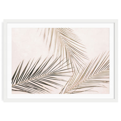 Fine art tropical wall art print of delicate palm leaves on blush background in a white frame with mat.