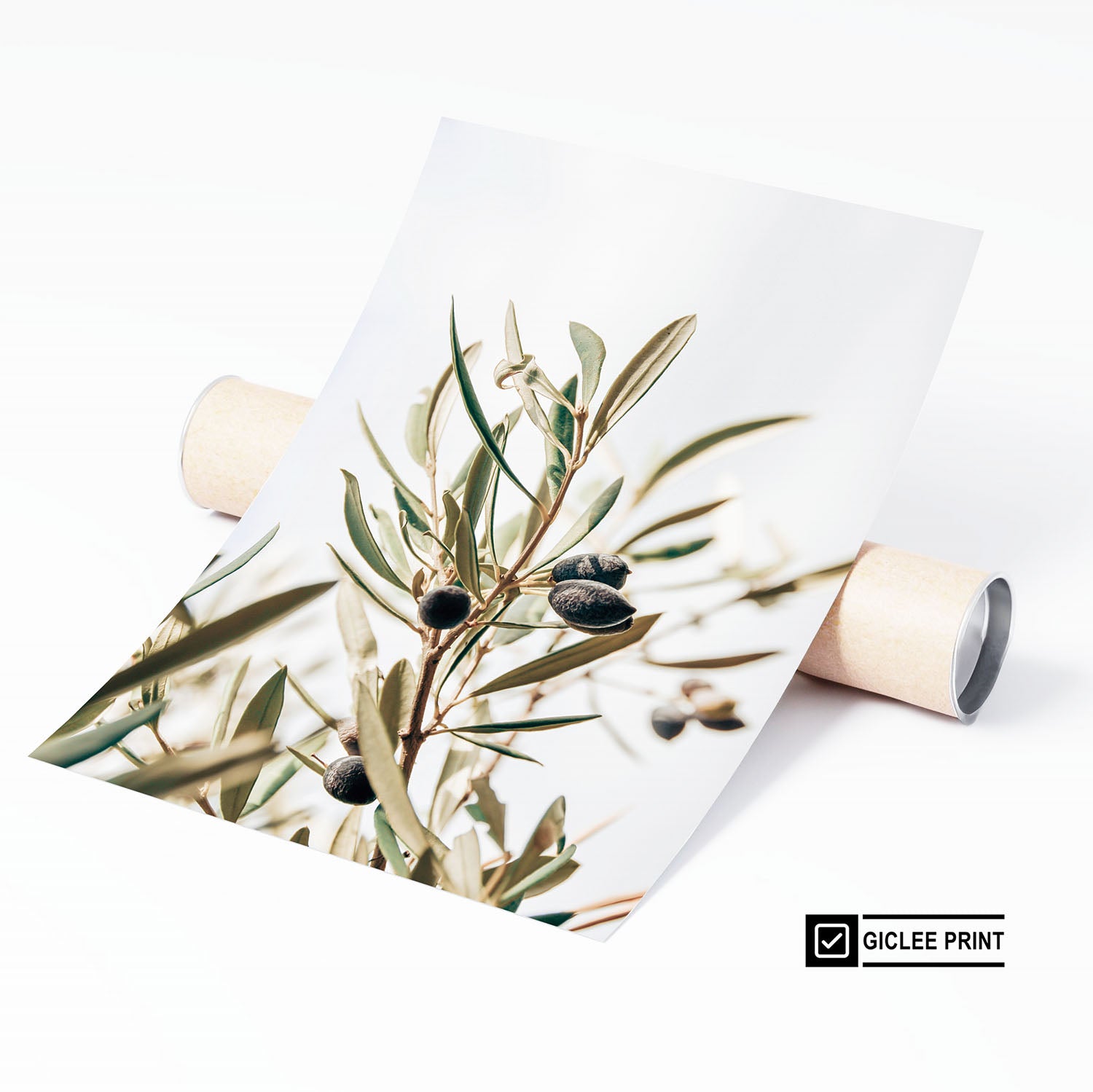 Unframed olive branch minimalist art print with botanical design on archival paper