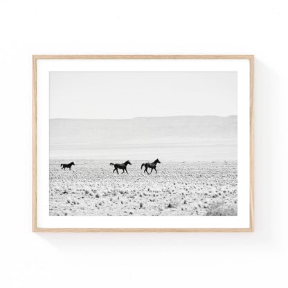 Wild horse wall art featuring three horses running across a vast desert plain in a minimalist black and white landscape.